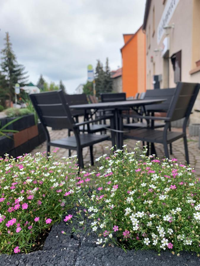 Appartamento Divino Pension Zorbau Lützen Esterno foto